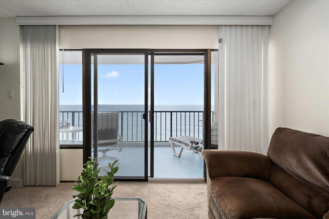 11000 Coastal Hwy Unit 1211, Ocean City, MD 21842 - living area featuring carpet flooring and a water view