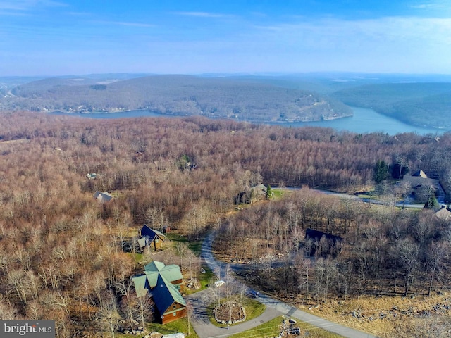 bird's eye view of a heavily wooded area and a nearby body of water