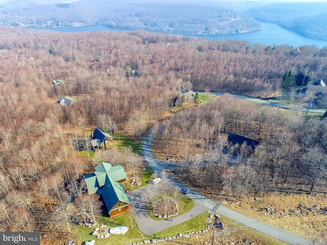 aerial view of a forest and a large body of water