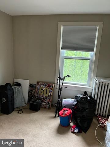 bedroom featuring radiator and carpet floors