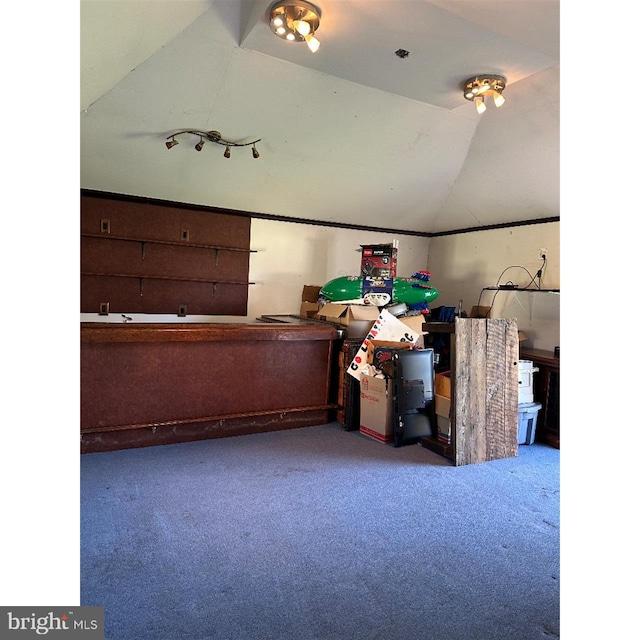 bonus room featuring carpet flooring and vaulted ceiling