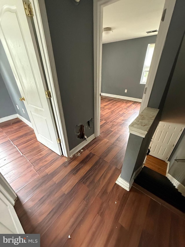 2503 Kent Town Pl Unit 2503B, Hyattsville, MD 20785 - detailed view of wood finished floors and baseboards