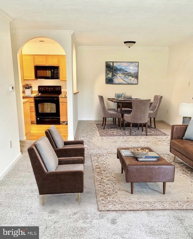 5802 Torington Dr Unit H, Springfield, VA 22152 - living room featuring light colored carpet, baseboards, crown molding, and arched walkways