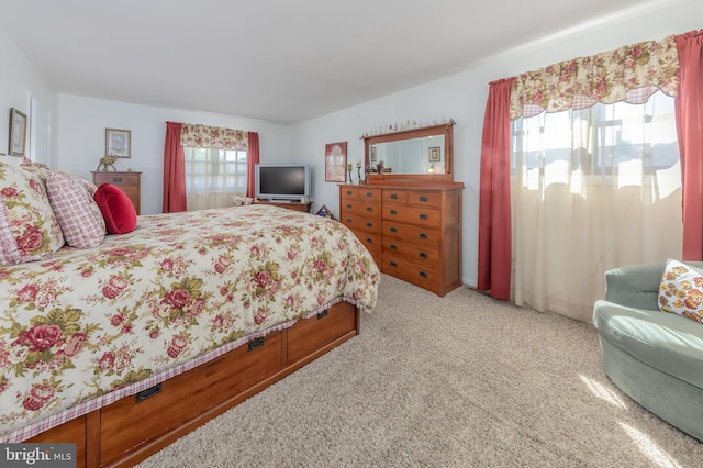 bedroom with carpet flooring