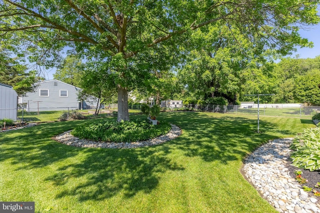 view of yard