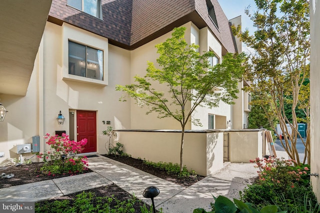 entrance to property with stucco siding and a shingled roof