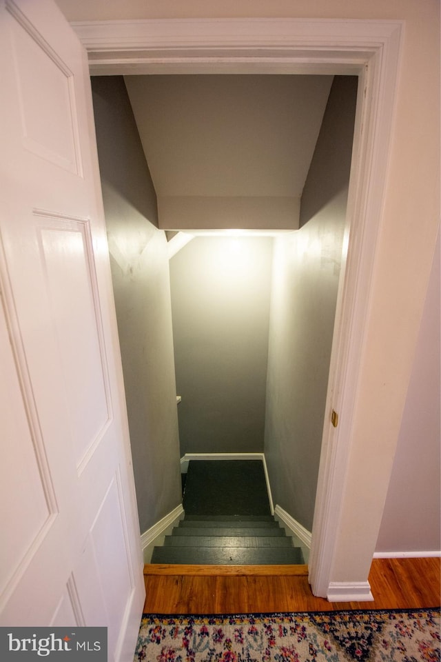 staircase with wood finished floors and baseboards