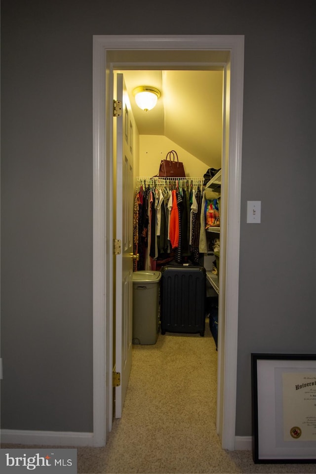 spacious closet with lofted ceiling and carpet floors