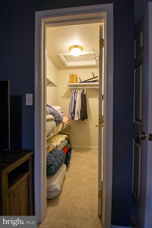 spacious closet with carpet flooring