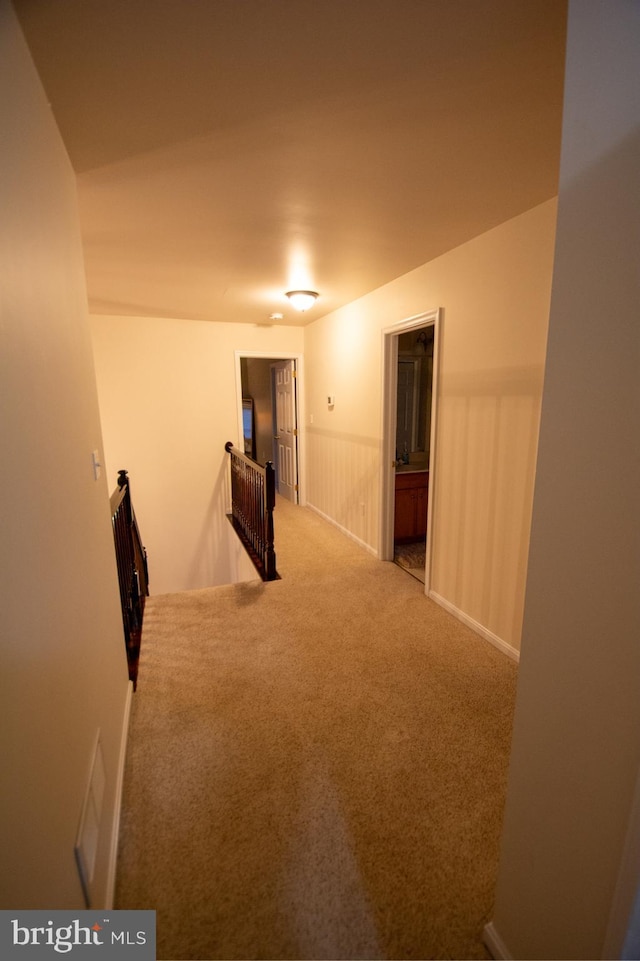 hall with an upstairs landing, carpet flooring, and a wainscoted wall
