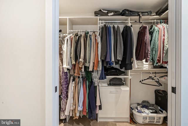 view of walk in closet