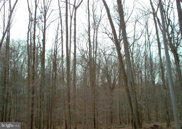 550 Bryants Nursery Rd, Silver Spring MD, 20905 land for sale