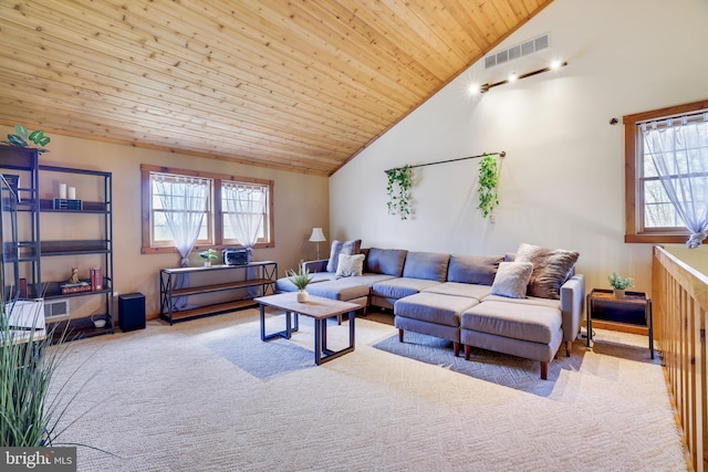 32 Black Bear Rd, Albrightsville, PA 18210 - carpeted living area with healthy amount of natural light, high vaulted ceiling, and wood ceiling