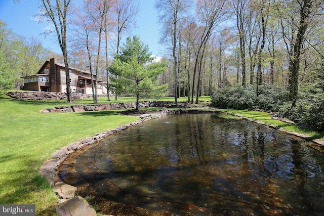 32 Black Bear Rd, Albrightsville, PA 18210 - view of grassy yard