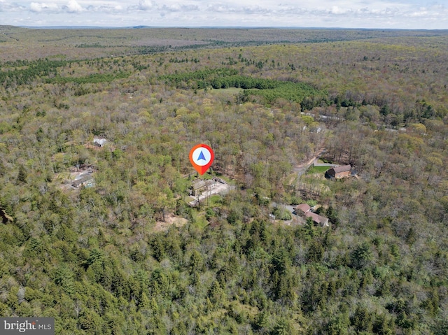 32 Black Bear Rd, Albrightsville, PA 18210 - view of property location with a forest