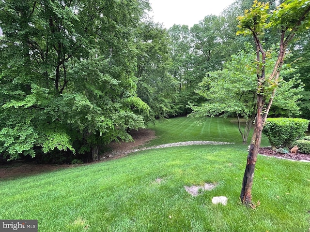 8197 Cottage Rose Ct, Fairfax Station, VA 22039 - view of grassy yard