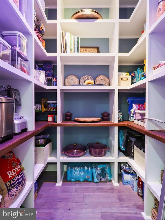 8197 Cottage Rose Ct, Fairfax Station, VA 22039 - view of pantry