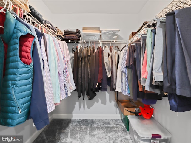 8197 Cottage Rose Ct, Fairfax Station, VA 22039 - view of spacious closet