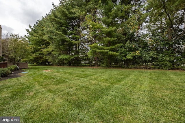 view of green lawn