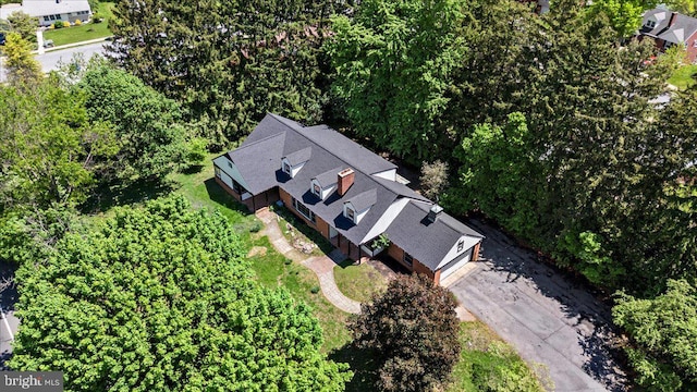 aerial view