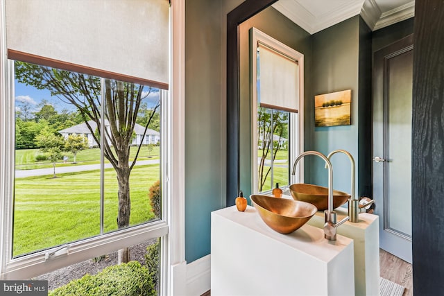 bathroom featuring crown molding, healthy amount of natural light, wood finished floors, and vanity
