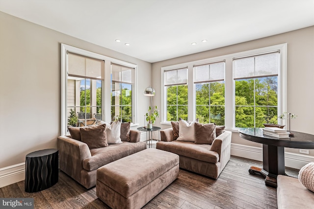 living area with wood-type flooring, recessed lighting, and baseboards
