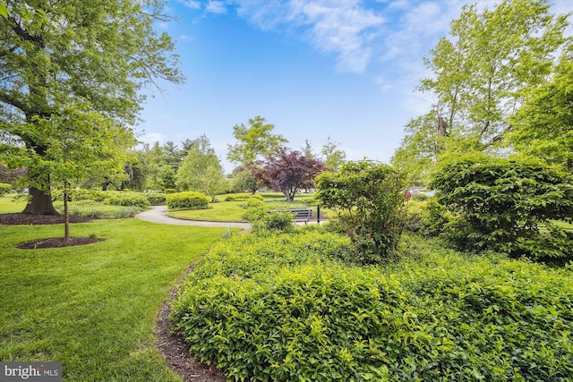 surrounding community with a yard