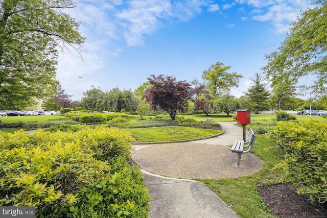 surrounding community featuring a yard and view of wooded area