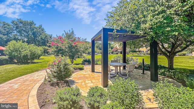 surrounding community with a patio and a yard