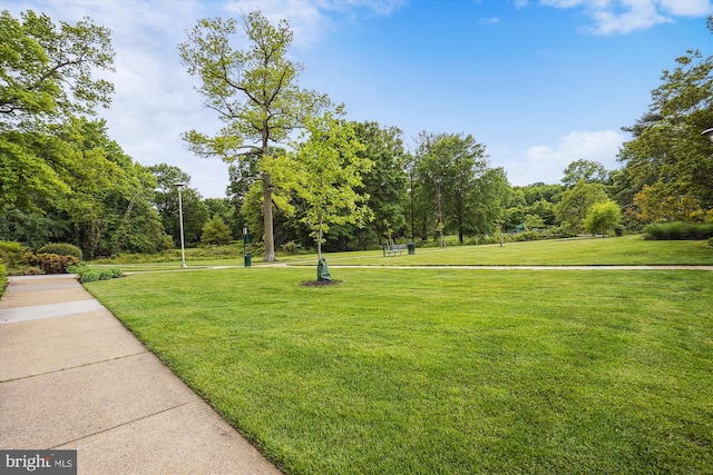 view of property's community with a yard