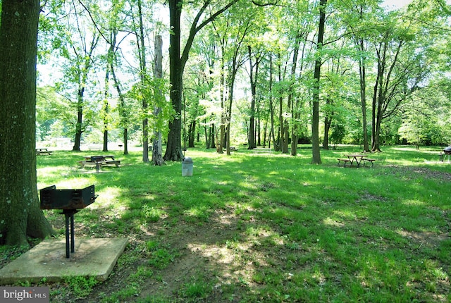 view of home's community featuring a lawn