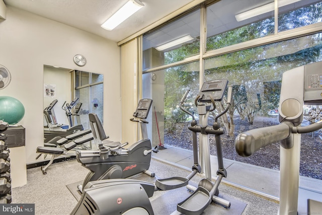 workout area with floor to ceiling windows