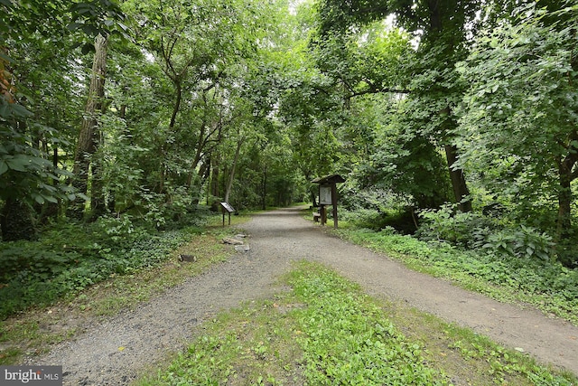 view of dirt / gravel road featuring a view of trees