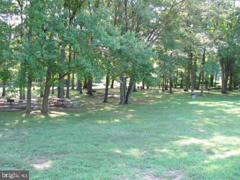 view of green lawn
