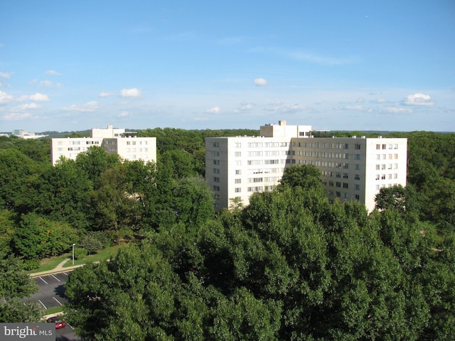 drone / aerial view of a heavily wooded area
