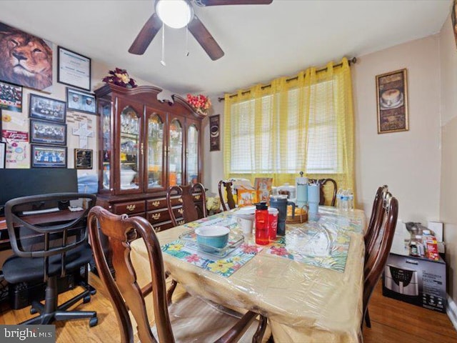dining room with ceiling fan and wood finished floors