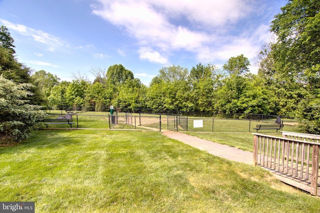 view of yard featuring a dog friendly area