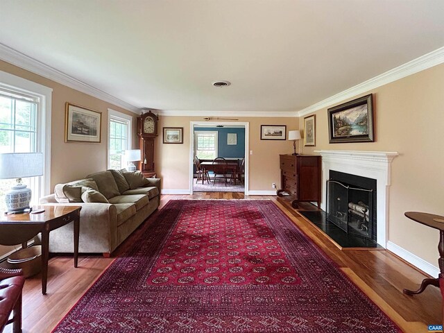 living area featuring wood finished floors, crown molding, a fireplace, and baseboards