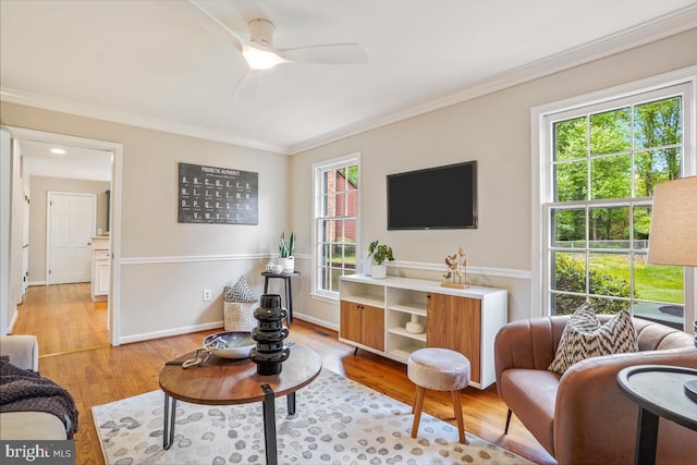 living room featuring plenty of natural light, ornamental molding, light wood finished floors, a ceiling fan, and baseboards