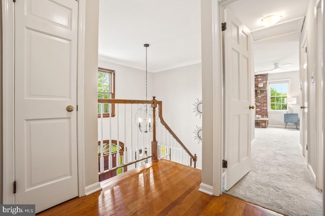 hall with an upstairs landing, baseboards, and wood finished floors
