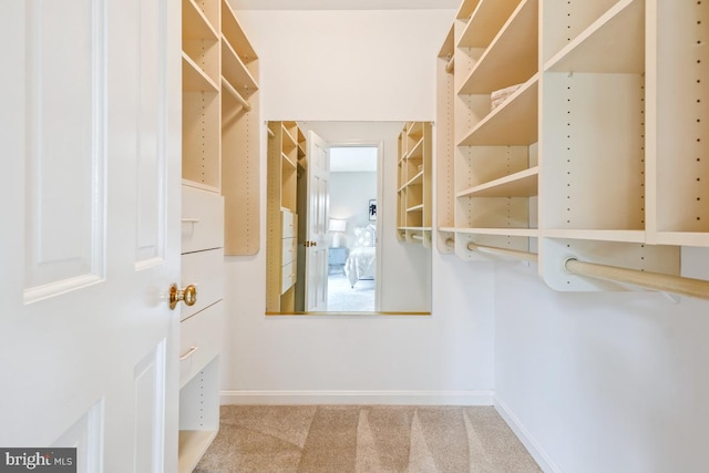 walk in closet featuring carpet