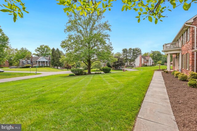 view of grassy yard