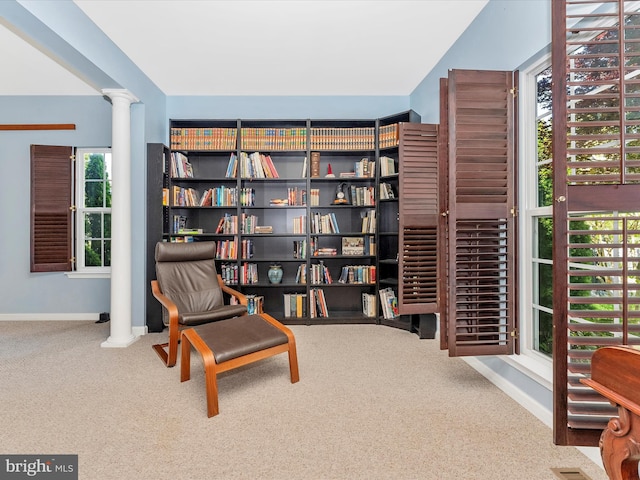9731 Wyndham Dr, Frederick, MD 21704 - living area with carpet flooring, baseboards, and ornate columns