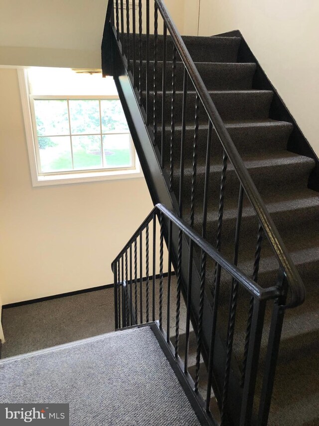 staircase with carpet