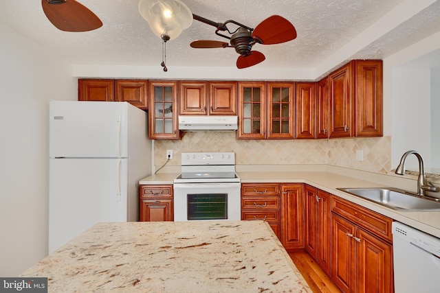 kitchen featuring white appliances, a sink, under cabinet range hood, light wood-style floors, and a ceiling fan