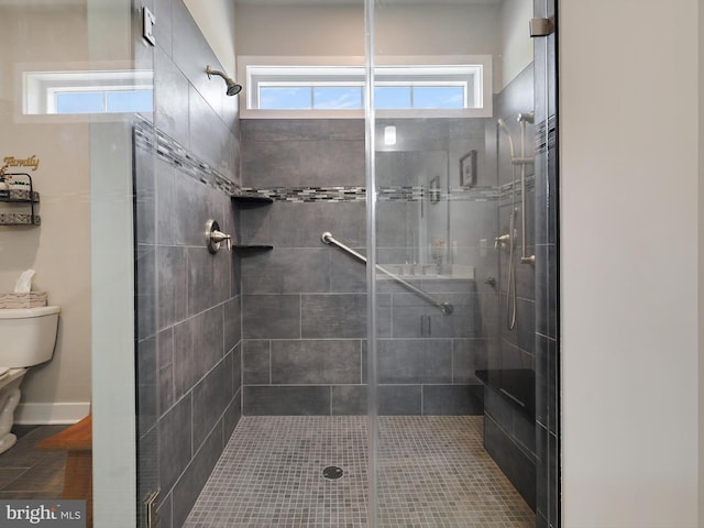 16016 Ambleside Ct, Hughesville, MD 20637 - full bath with toilet and a shower stall