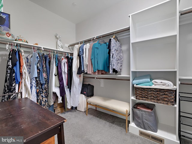 16016 Ambleside Ct, Hughesville, MD 20637 - walk in closet featuring carpet floors