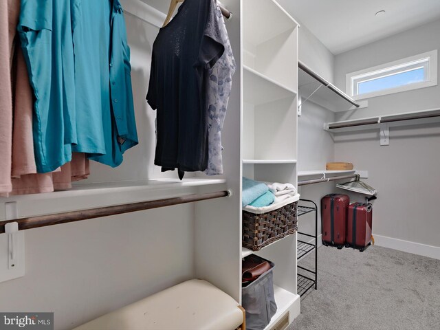 16016 Ambleside Ct, Hughesville, MD 20637 - spacious closet with carpet flooring