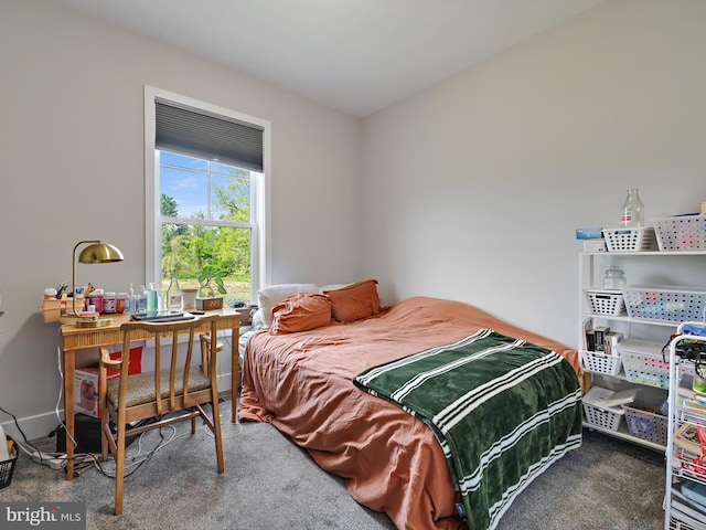 16016 Ambleside Ct, Hughesville, MD 20637 - bedroom featuring carpet floors