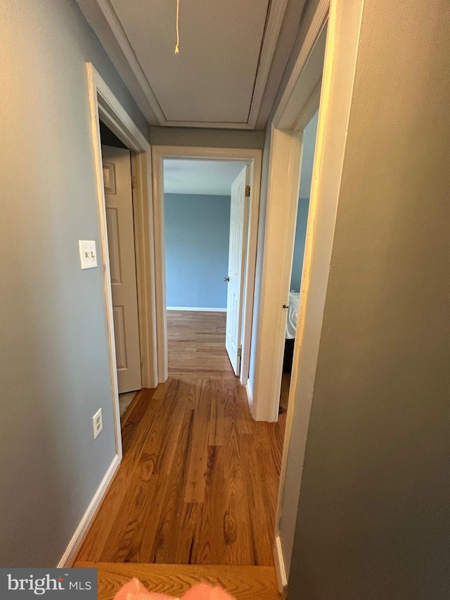 12 Emmit Ct, Emmitsburg, MD 21727 - corridor with wood finished floors and baseboards